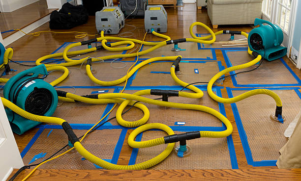 Professional Storm Water Damage Restoration technician working in Coalfield, TN